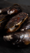 Mejillon entero x 1 kilo - comprar online