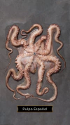 Pulpo Español x 1 Kilo