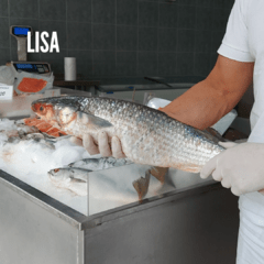 Pesca Fresca Entera - buenos mares