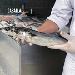 Pesca Fresca Entera en internet