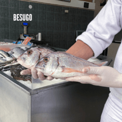 Pesca Fresca Entera - buenos mares