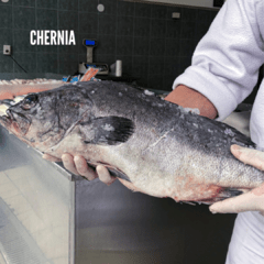 Pesca Fresca Entera - tienda online