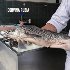 Imagen de Pesca Fresca Entera