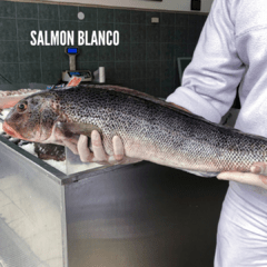Pesca Fresca Entera - buenos mares