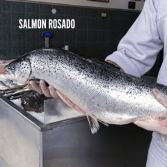 Pesca Fresca Entera - tienda online