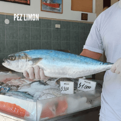 Imagen de Pesca Fresca Entera