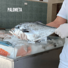Pesca Fresca Entera