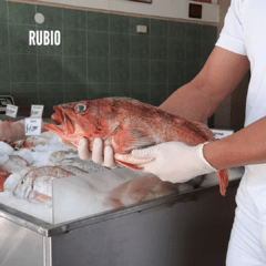Pesca Fresca Entera - comprar online