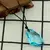 (PREVENTA) Collar Piedra H2O Sirenas del Mar