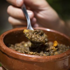 Guiso de lentejas vegetariano - tienda online