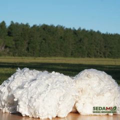 Schappé x 100grs. (Vellon de Seda Natural) - comprar online