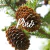 Aceite Esencial - Pino - 10cc