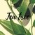 Aceite Esencial - Tea Tree - 10cc