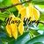 Aceite Esencial - Ylang Ylang - 10cc