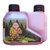 BUDHA JUICE 250 ML - AZTEKA