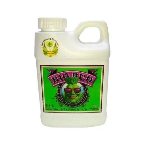 BIG BUD 250ML. - ADVANCED
