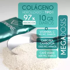 FIT PROFESSIONAL LINE ( ADELGAZAR) - 30 SOBRES - tienda online