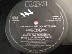 Vinilo Blow Monkeys Celebrate The Day Maxi Uk 1987 Vg - BAYIYO RECORDS