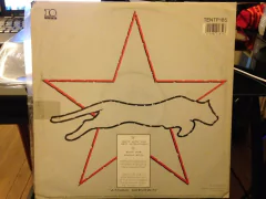 Vinilo Animal Nightlife Boys With The Best Intentions Maxi - comprar online