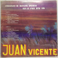 Vinilo Juan Vicente Torrealba Y Su Orq De Cuerdas Suite Torr - comprar online