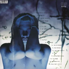 Vinilo Eminem - Slim Shady Lp Nuevo Doble Importado en internet