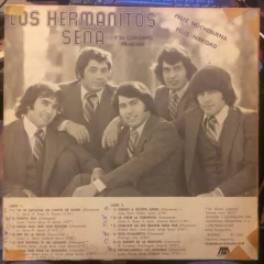 Vinilo Los Hermanitos Sena Feliz Nochebuena Feliz Navidad Lp en internet