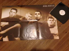 Vinilo Animal Nightlife Boys With The Best Intentions Maxi - tienda online