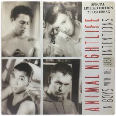 Vinilo Animal Nightlife Boys With The Best Intentions Maxi