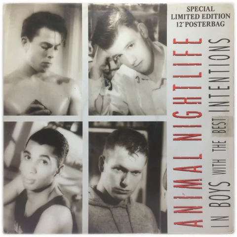 Vinilo Animal Nightlife Boys With The Best Intentions Maxi