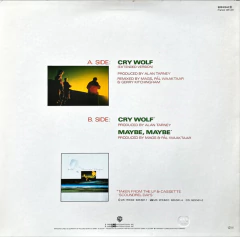 Vinilo Maxi A-ha - Cry Wolf Aleman 1986 - comprar online