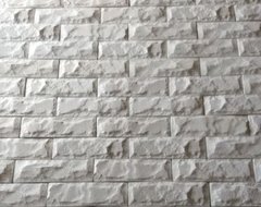 Forma Molde Gesso 3D Com 5 Tijolinho Rústico 29x10cm IN314 em ABS Virgem 2mm IN314 - loja online