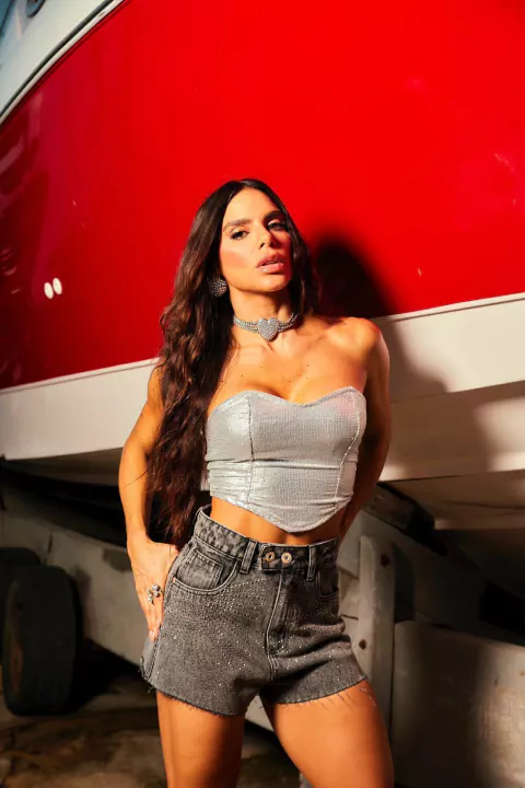 CORSET PAETÊ - comprar online