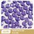 Pedraria Chaton | P997 Violeta 6 mm