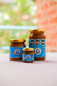 Dulce de Leche Tradicional 400g en internet
