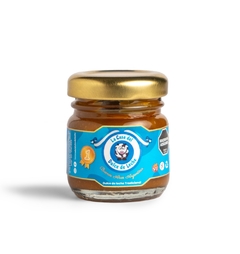 Mini Dulce de Leche 40g en internet