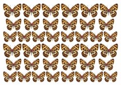 Lámina Comestible Mariposas animal print