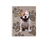 CUADERNO A4 SEMI DURA ESPIRAL X 80 HOJAS - CACHORROS