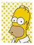 CARPETA C/CORDON N3 MOOVING 1003196 - SIMPSONS 2025 - comprar online