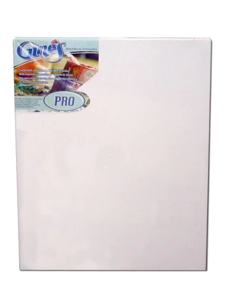 BASTIDOR GINES 20 X 30 (PRO T.520 )