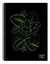 CUADERNO LEDESMA BIO 21X27 84 HOJAS - RAYADO - comprar online