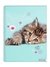CUADERNO A4 MOOVING X 80 HOJAS RAYADAS RACHAE HALE 21 TAPA SEMI RIGIDA / CONSULTAR MODELOS