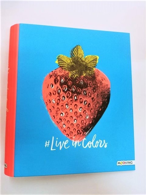 Carpeta (a4) 2 Aros X 40 Mooving Colors