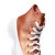 Imagen de ZAPATILLAS CONVERSE CHUCK TAYLOR ALL STAR LUGGED 2 (CA01304C)