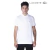 REMERA LACOSTE POLO MC WHT (LE125313)