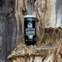 Mermelada de Arándanos 295gr - Mermeladas LyB