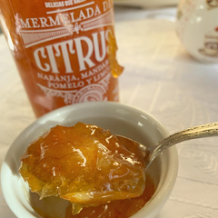 Mermelada Citrus 295gr en internet
