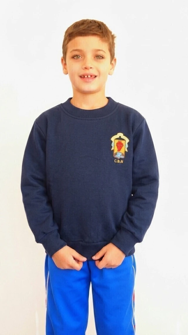 Buzo escolar frizado colegio Benito Nazar