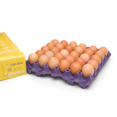 Huevos OVO Gallinas Libre de Jaula Maple