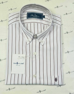 CAMISA CLASICA ZEBRA