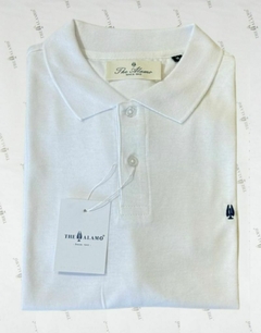 CHOMBA jersey algodón - comprar online